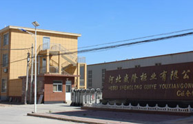 河北盛隆柜業(yè)